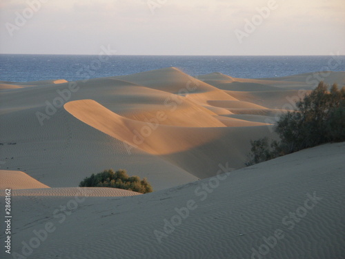 dünenlandschaft photo