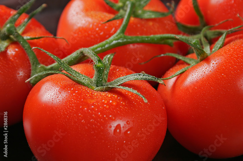 tomates en grappe #2868316