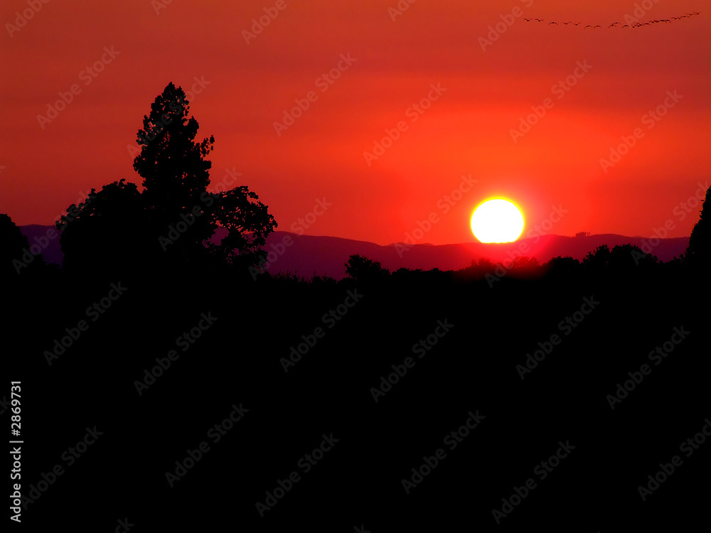 Fototapeta premium falling sun