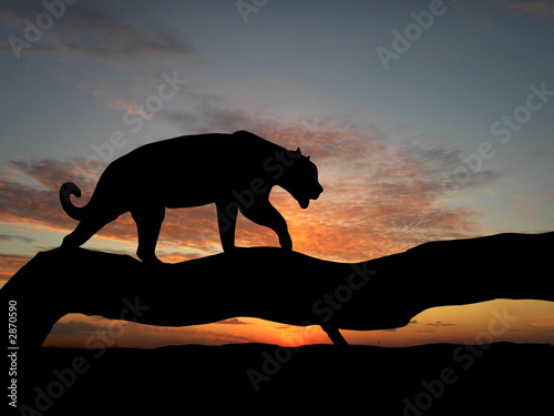 silhouette of leopard on tree