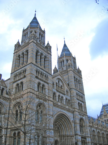 Wallpaper Mural entrance to the natural history museum Torontodigital.ca