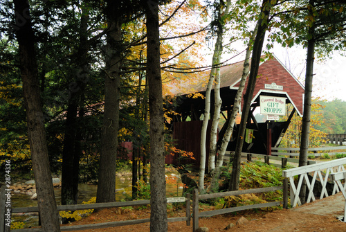 Φωτογραφία (01792) bartlett covered bridge