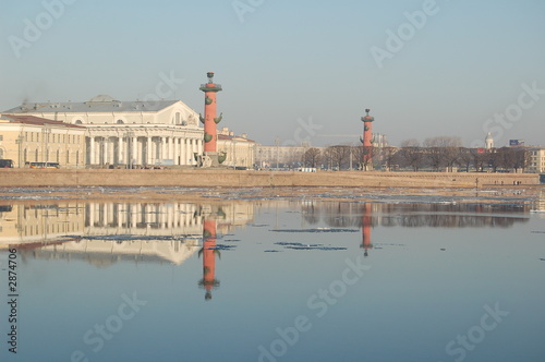 rostrum column