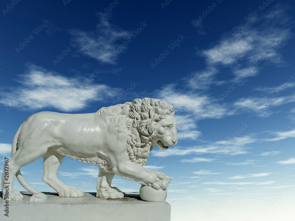 Naklejka premium lion