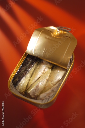 fish in a can