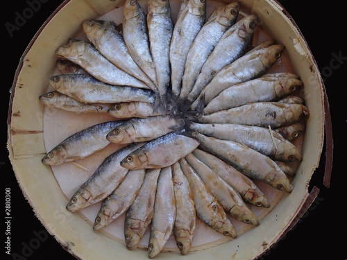 busby berkly fish 02