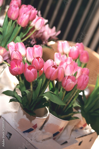 pink tulip bouquet