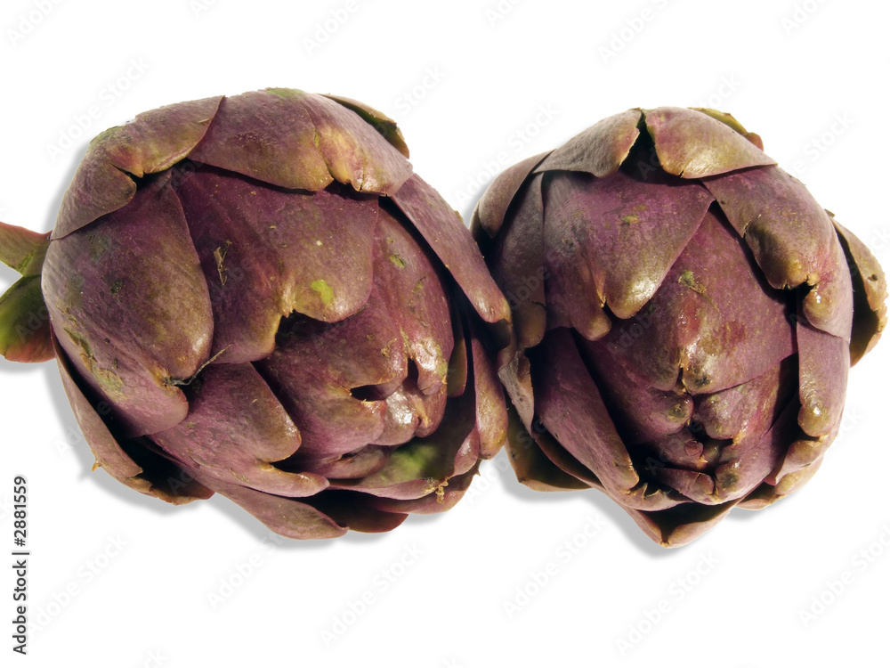 Obraz premium carciofi