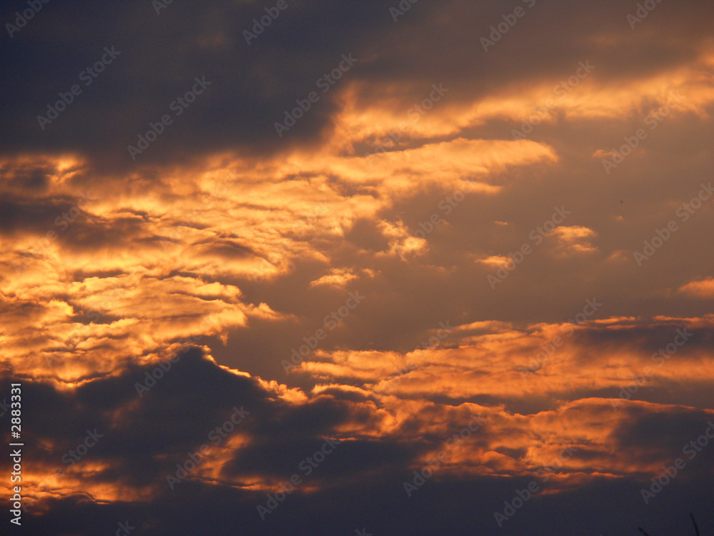 sunset  sky  clouds  evening
