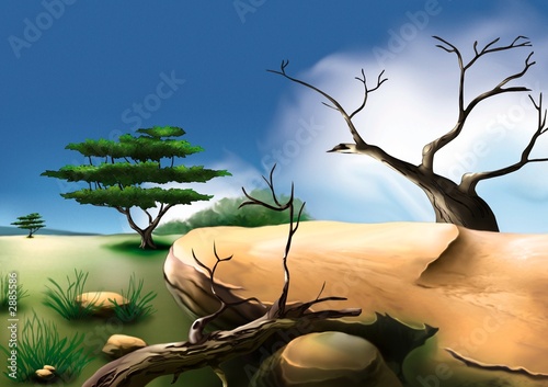 african bush