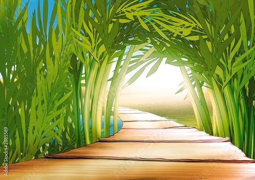 bamboo grove