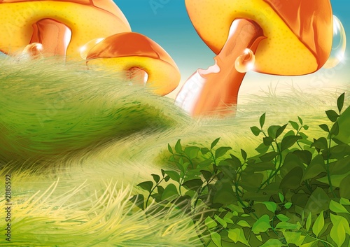 beautiful mushrooms