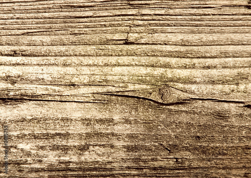 old brown rotten wood texture photo