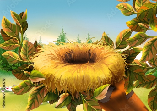 birds nest