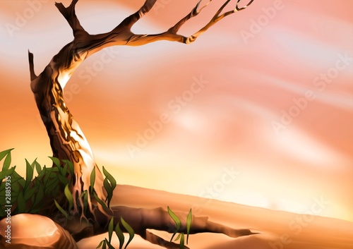 desert tree