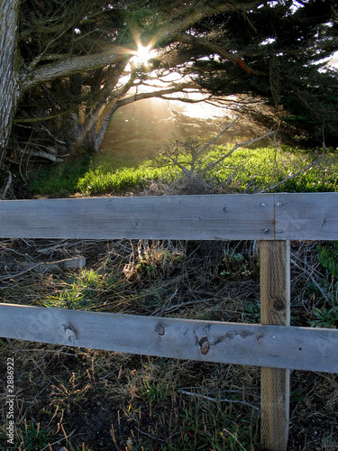 fenced sun rays