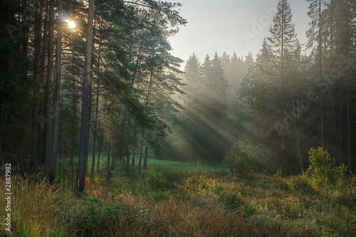 rays