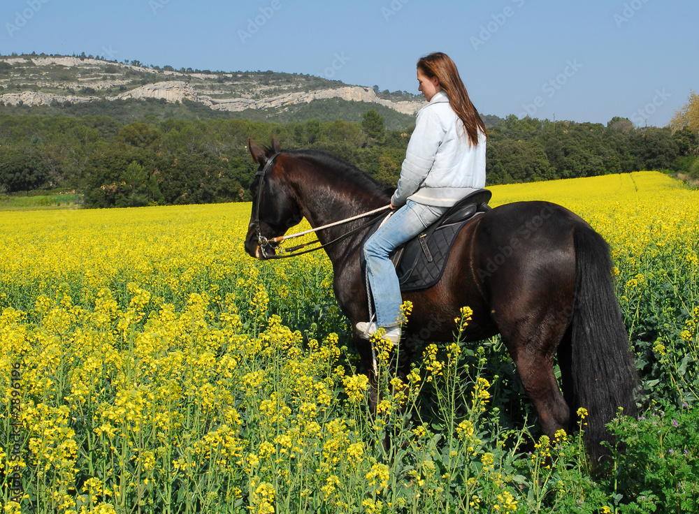 jeune fille a cheval Photos
