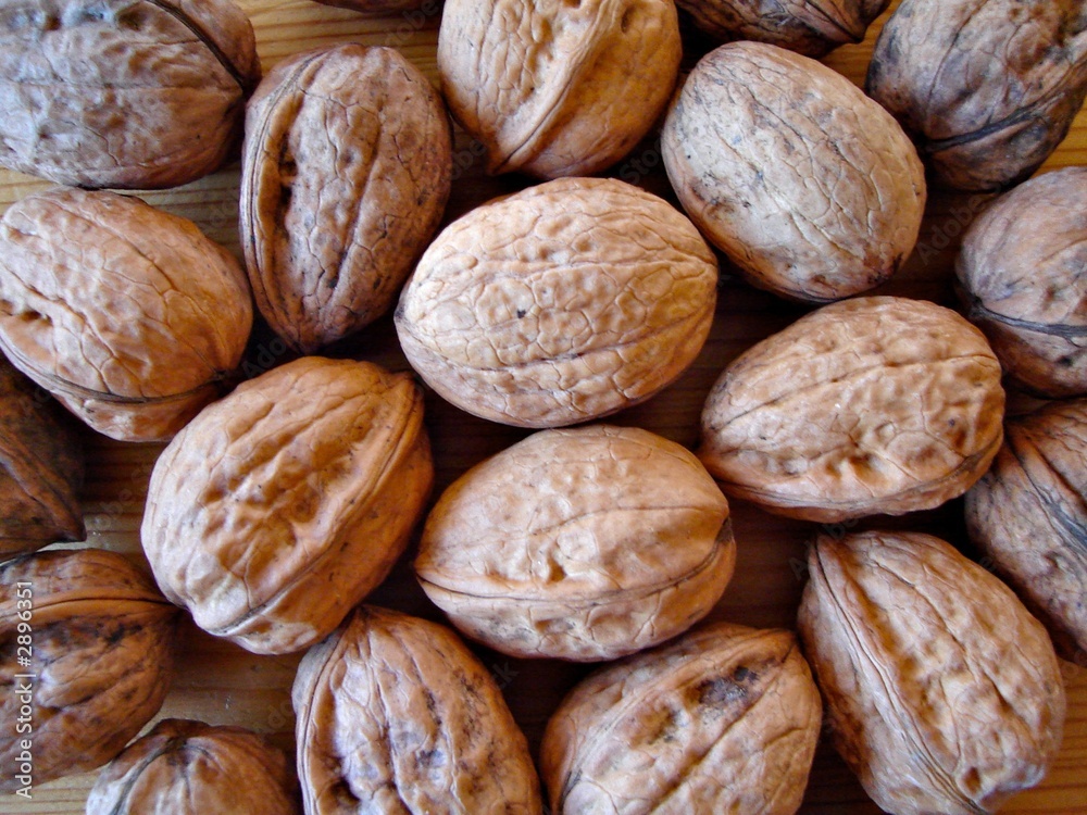 walnuts 01 walnuts 01
