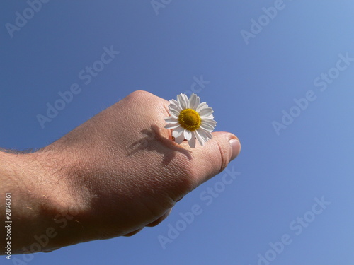poing nature