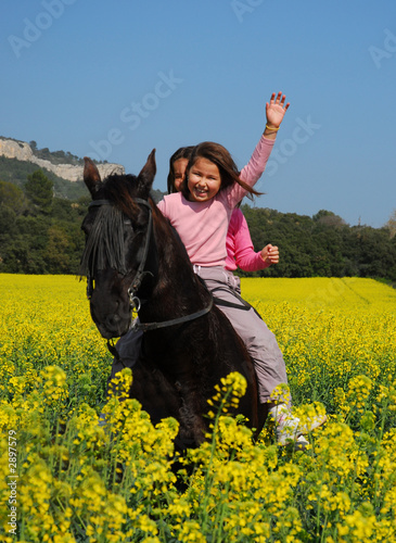 joie équestre