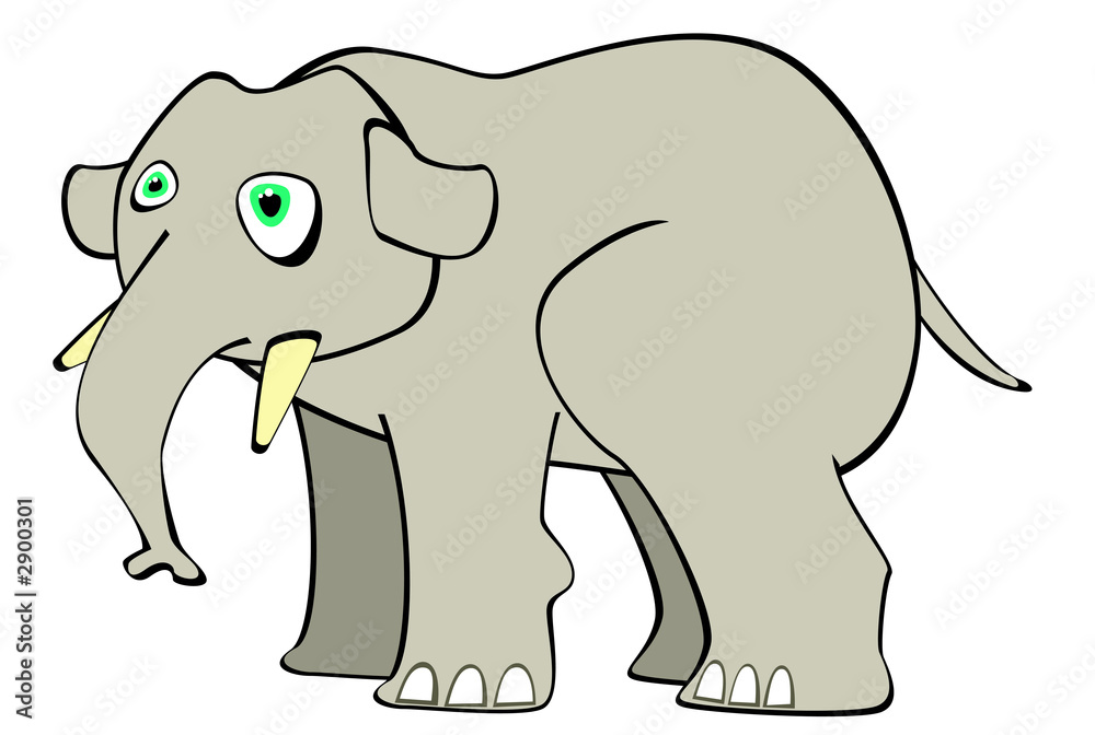 Obraz premium éléphant