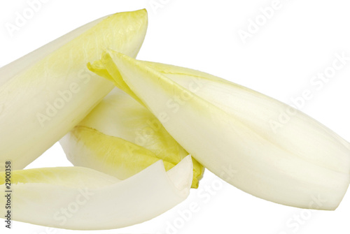 endive 2 photo