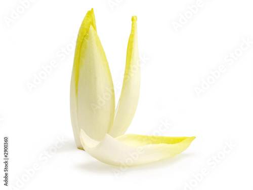 Tableau sur toile endive 1