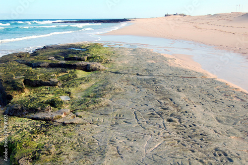 beach tide