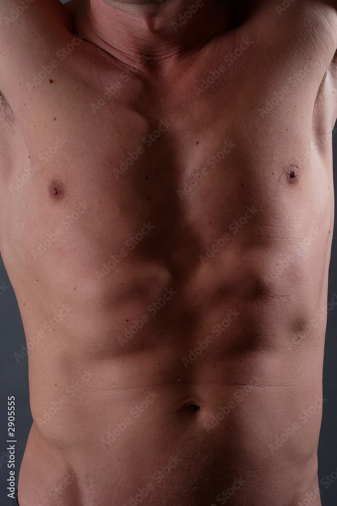 torse torse