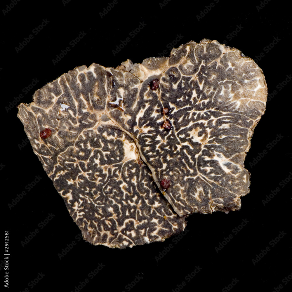 close-up sur une truffe noire close-up sur une truffe noire