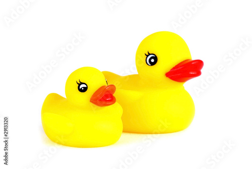 two yellow plastic ducks