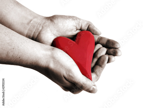heart in hand #2913334