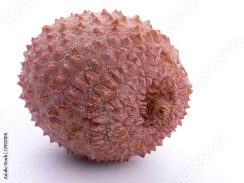 single lychee in a shell