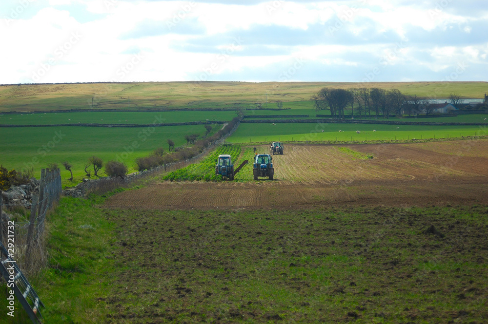 Naklejka premium harvesting