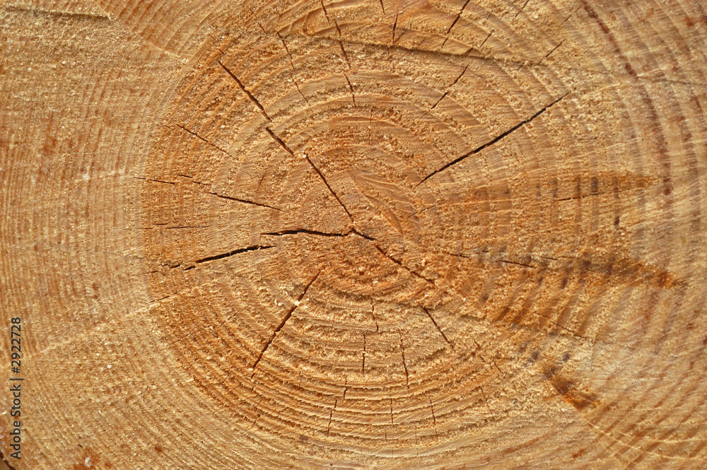 Fototapeta premium circle