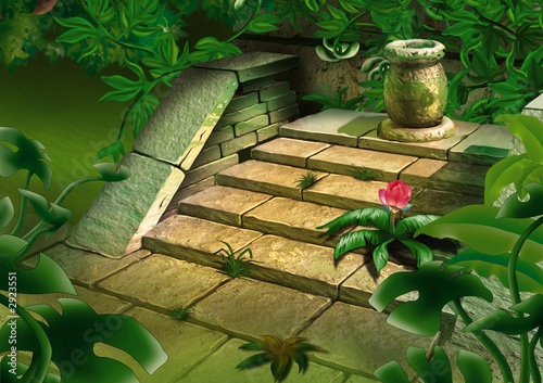 old steps in jungle