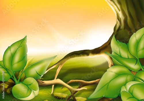 tree and shrubs
