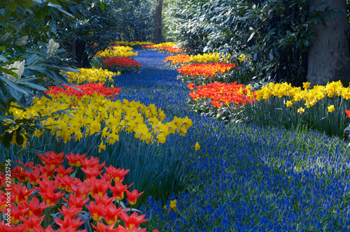 colorful flower garden in spring