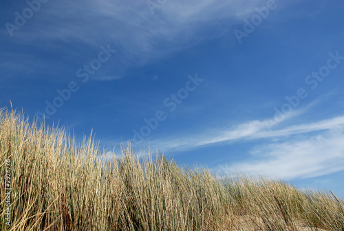 dunes in holland