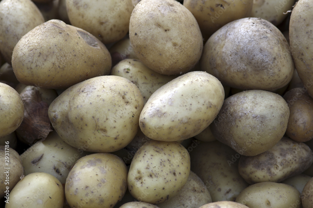 potatoes at market potatoes at market