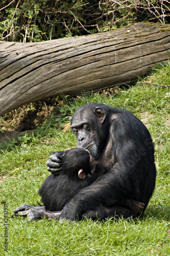 mother and baby