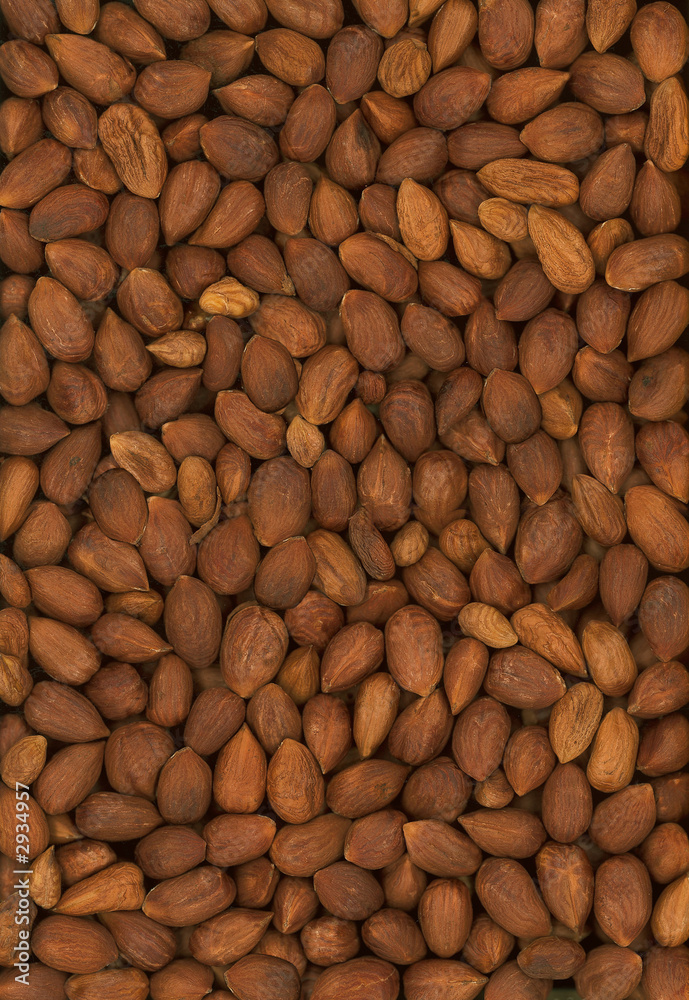 nuts nuts