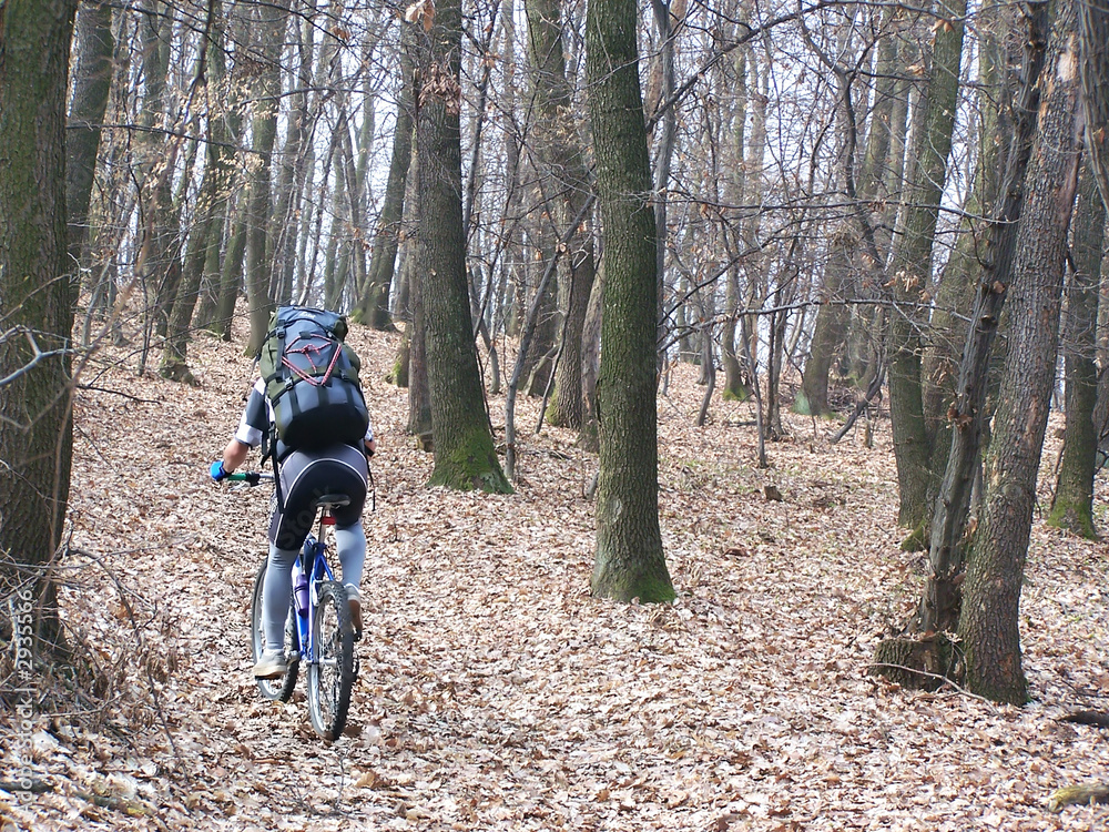 Naklejka premium biker in the woods