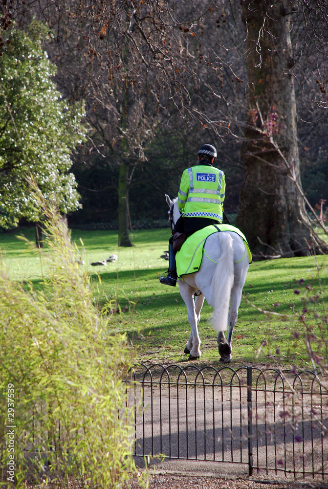 custom made wallpaper toronto digitallondon metropolitan police on horseback