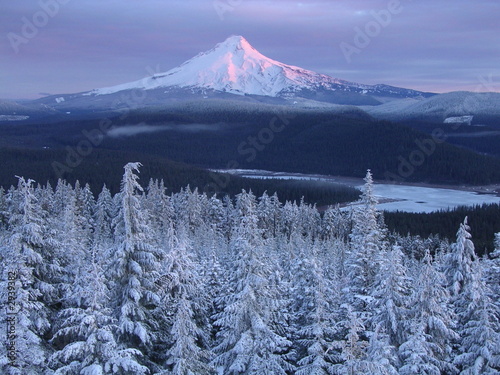 mt hood from fire lookout photo