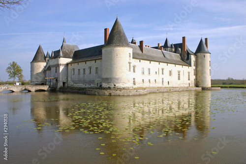 Obraz na płótnie château du plessis-bourré (2) w salonie