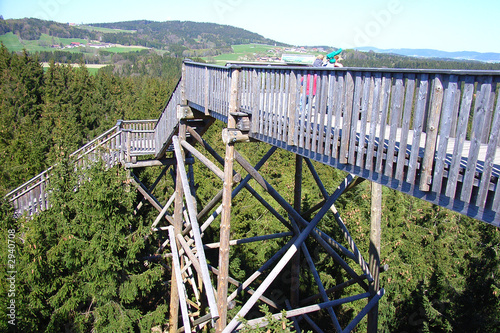 baumkronenweg