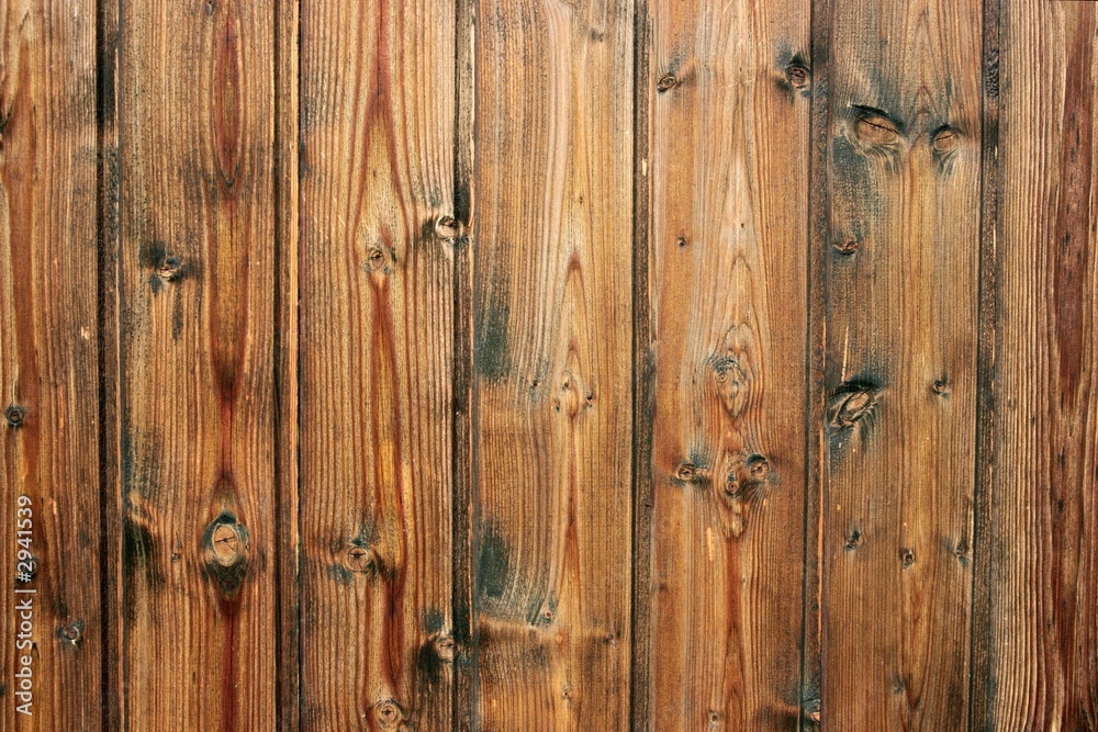 Fototapeta premium wood