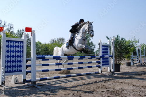 cavallo che salta ostacolo